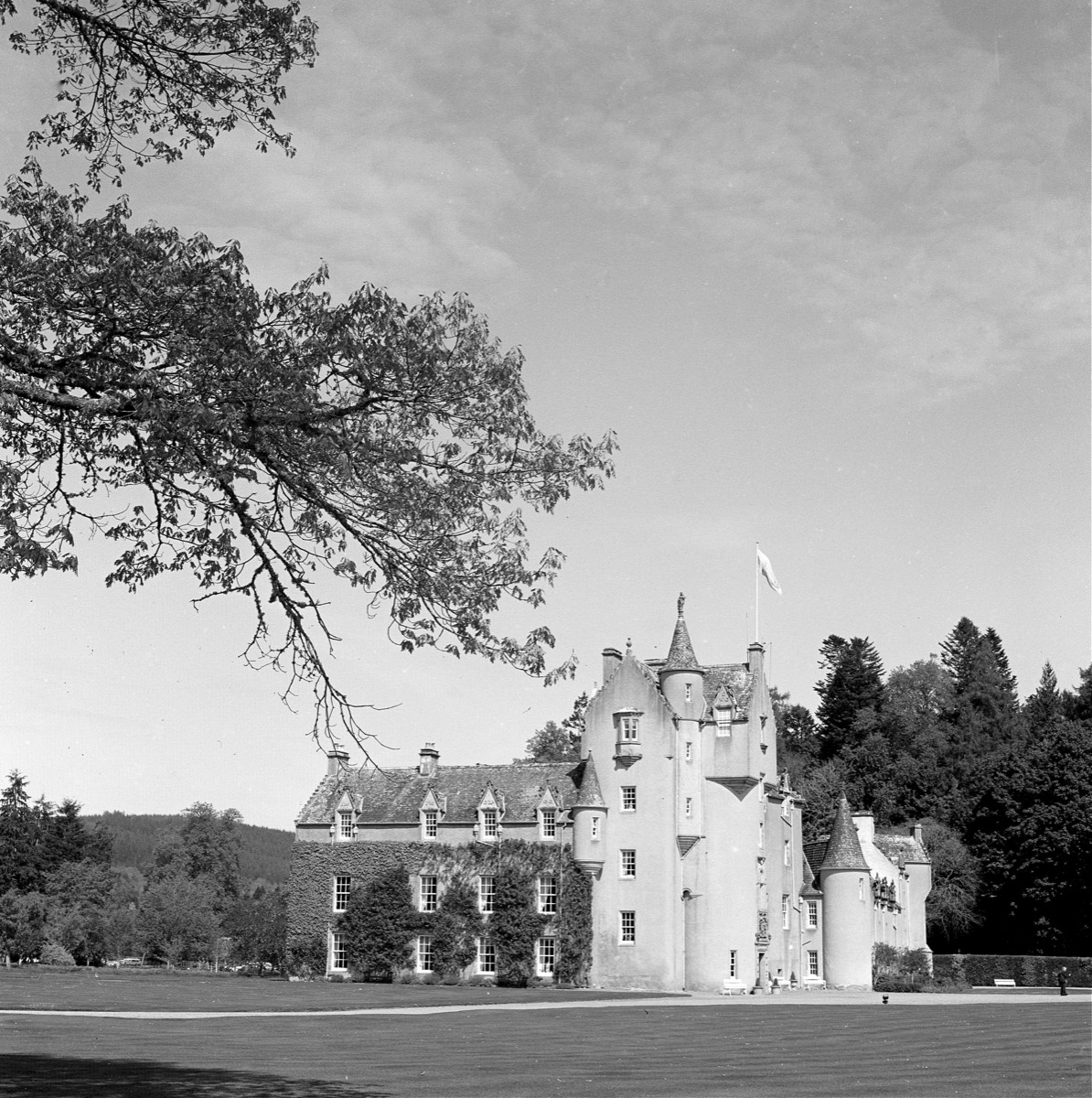 Stacks Image 59