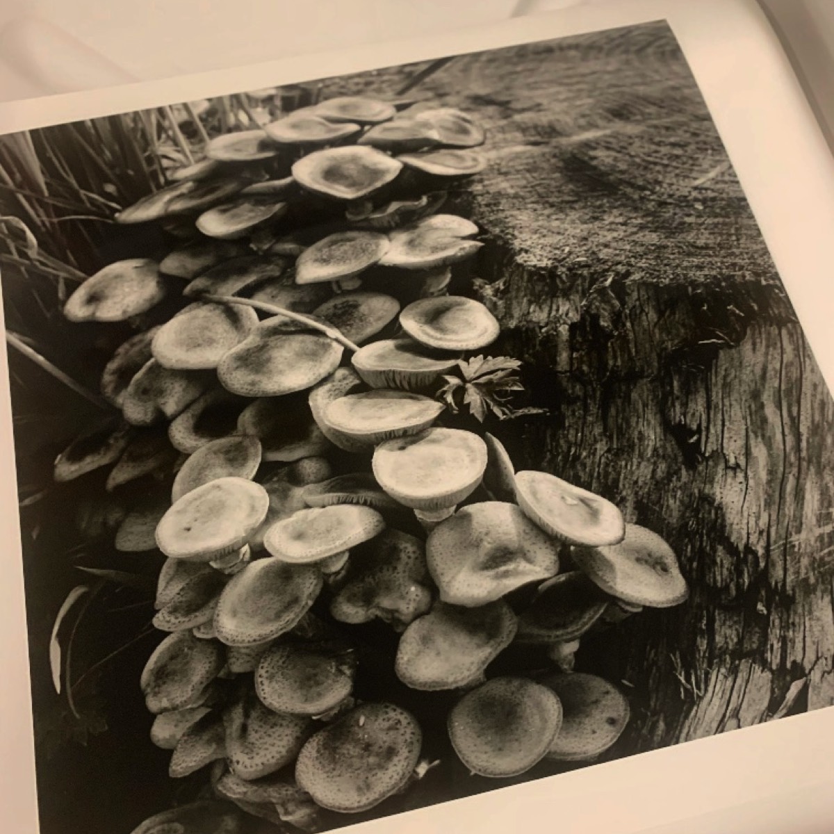 Stacks Image 16